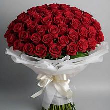 Букет 101 Красная роза Блэк Мэджик в Междуреченском