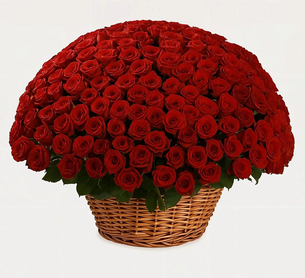 Премиум букет из: Розы в Междуреченском