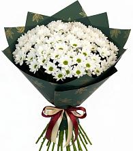 Букет цветов из:  Хризантемы #REPLACE_PRED# Междуреченском