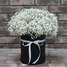 Цветочная композиция из Гипсофила в шляпной коробке в Междуреченском